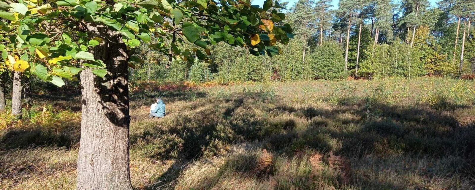 poëzie in de natuur