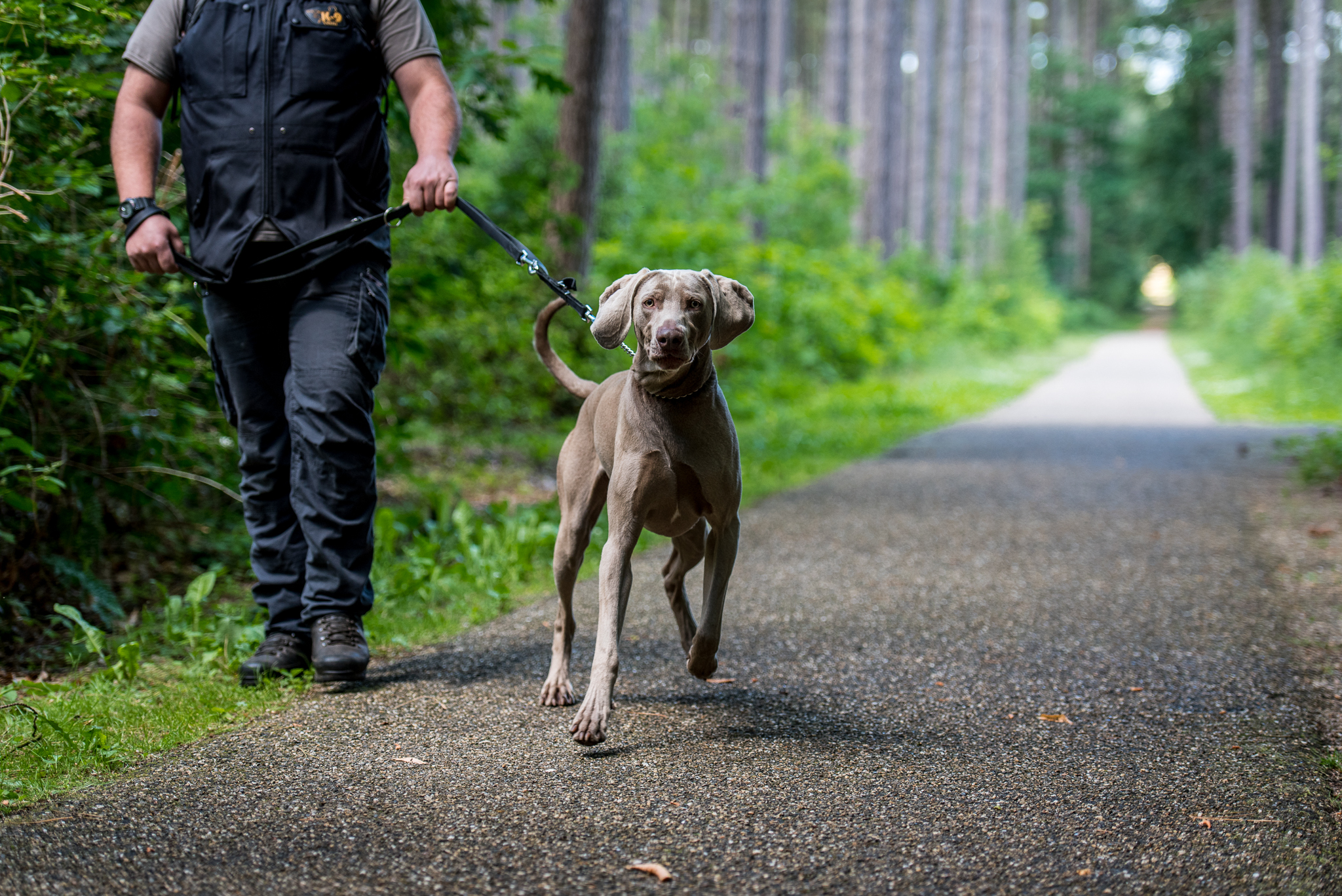 wandelaar met hond © Provincie Antwerpen