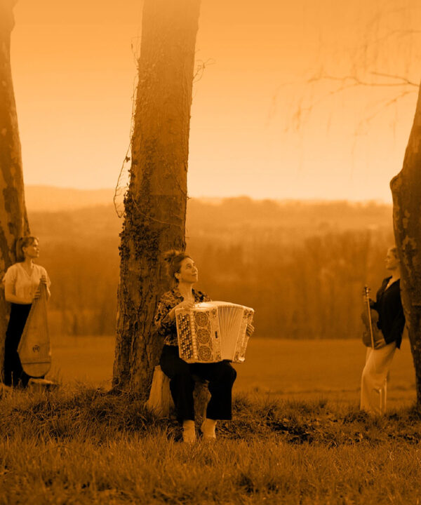 Triveni copyright Merodefestival