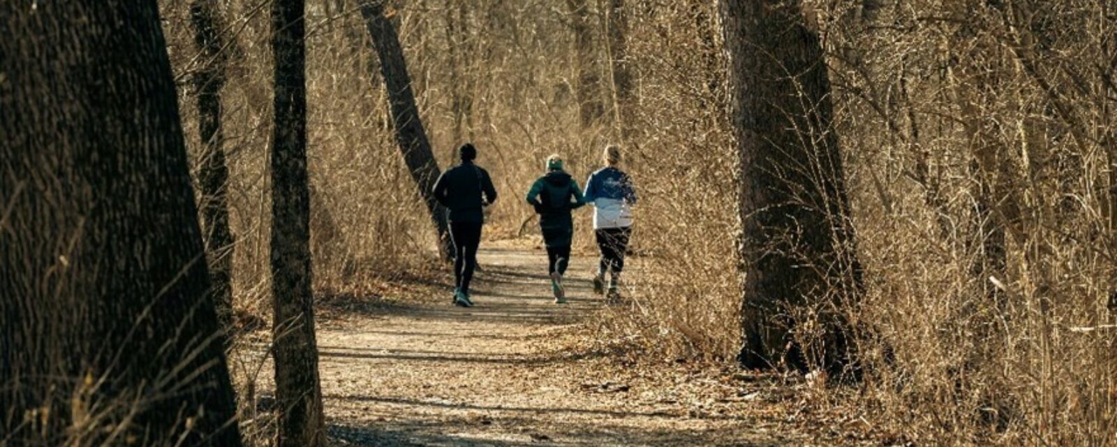 lopen in het bos
