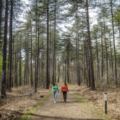 wandelen in Provinciaal Groendomein Hertberg