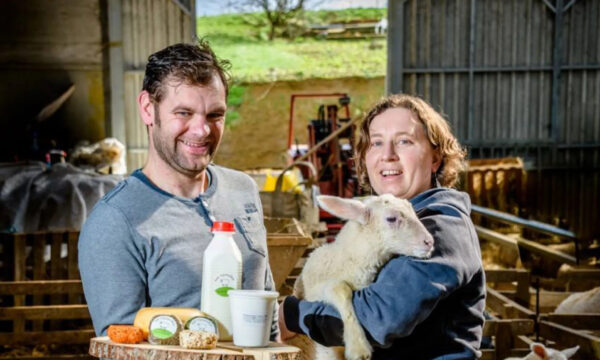 Kaas, melk, yoghurt van het Nijswolkje © Teja De Prins