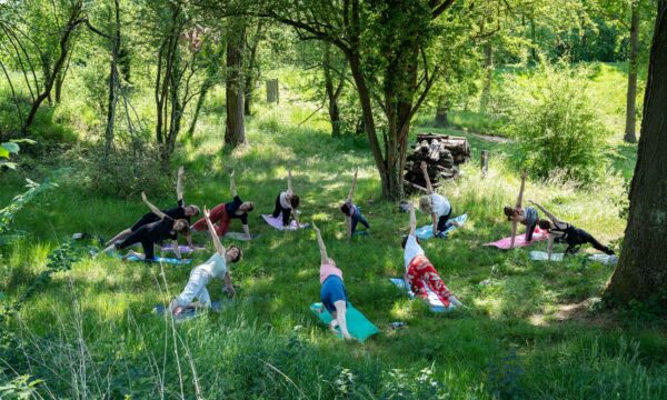 yoga in de natuur
