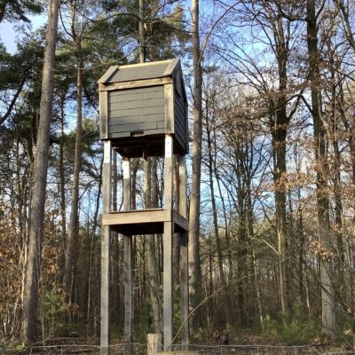 vleermuizentoren in domein Hertberg