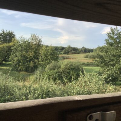 Vogelkijkhut in de Demerbroeken in Landschapspark de Merode