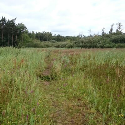 Natuurgebied Langdonken in Herselt