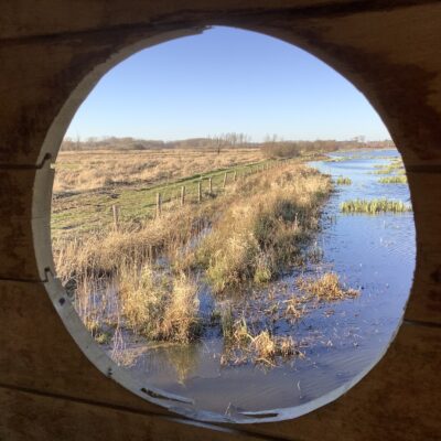 Zicht op water en riet in vogelkijkhut in Landschapspark de Merode