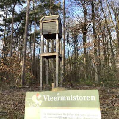 Vleermuistoren in Provinciaal Groendomein Hertberg