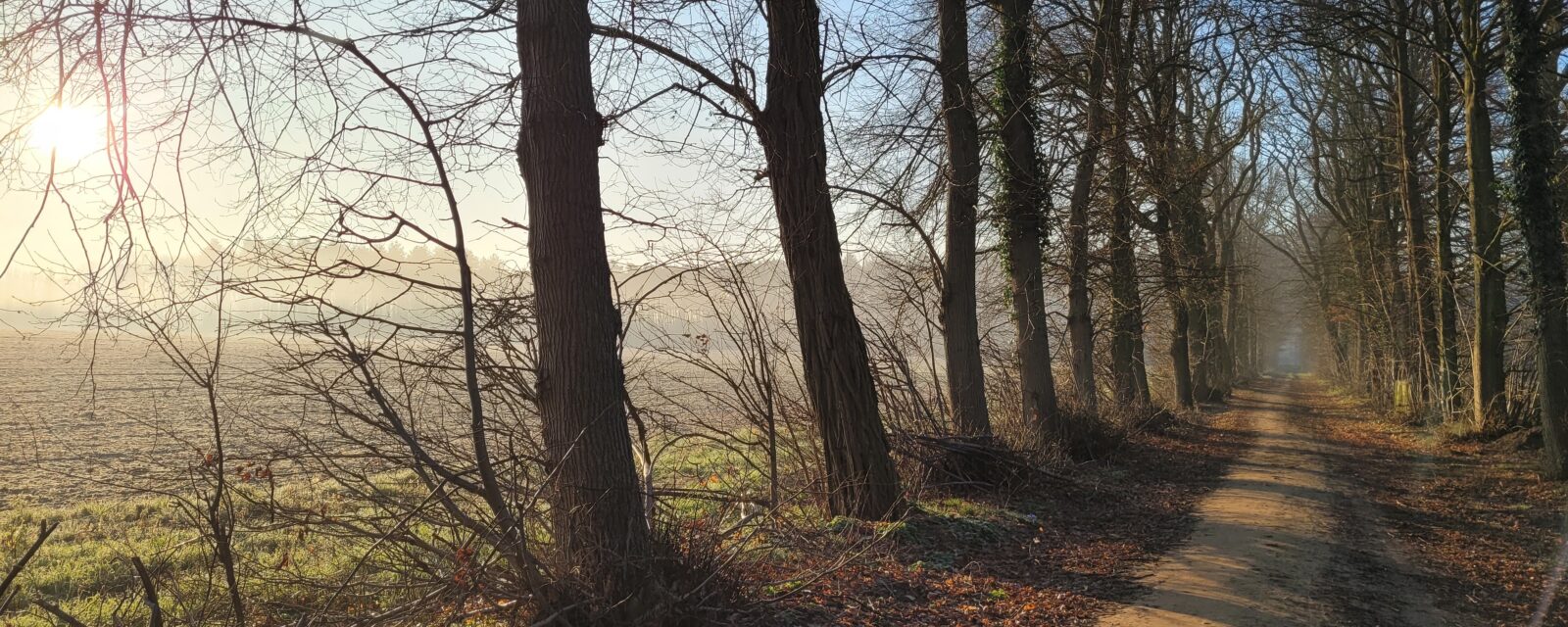 Hertberg Oost dauw