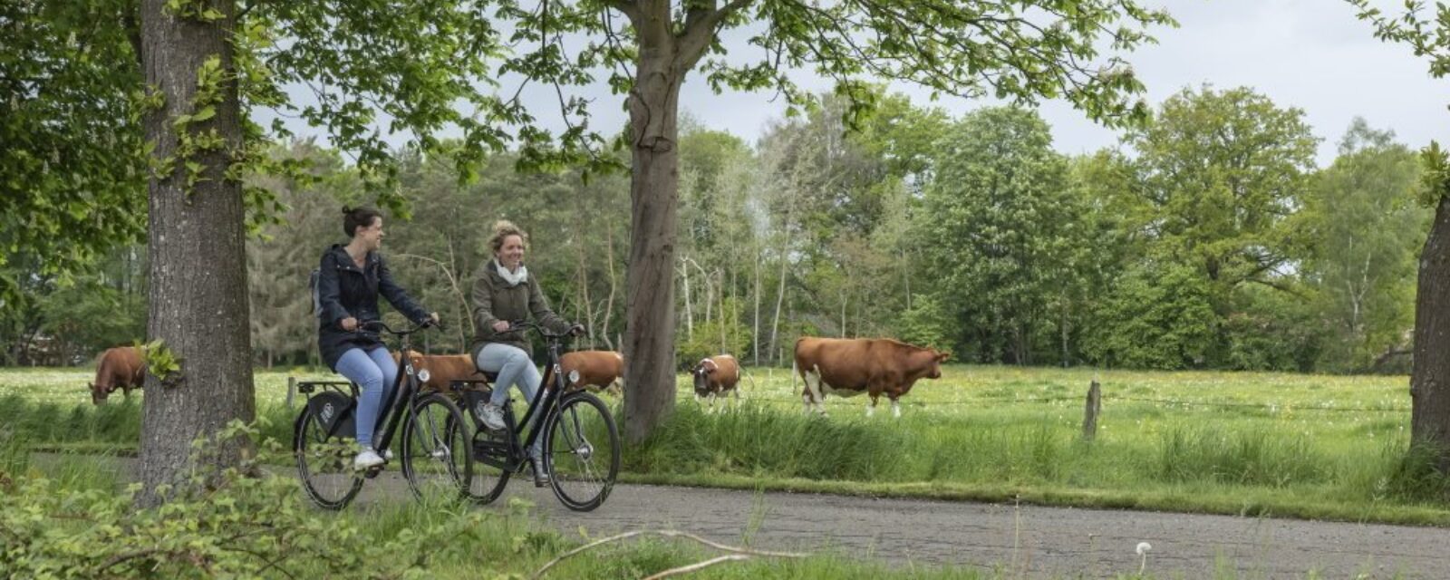 Fietsen in Laakdal Kempens Landschap