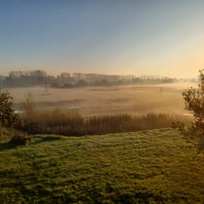 Webbekoms broek, foto Erik Spiessens