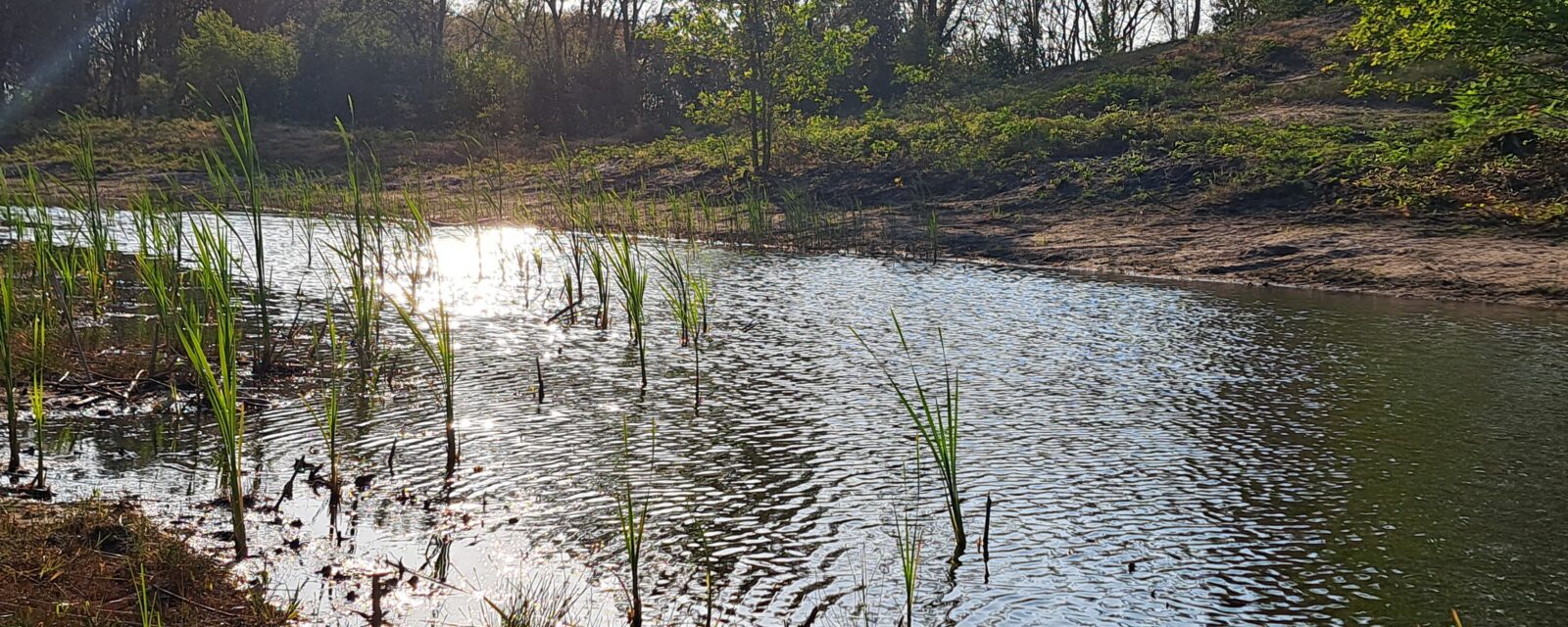 Averbode Bos en Heide