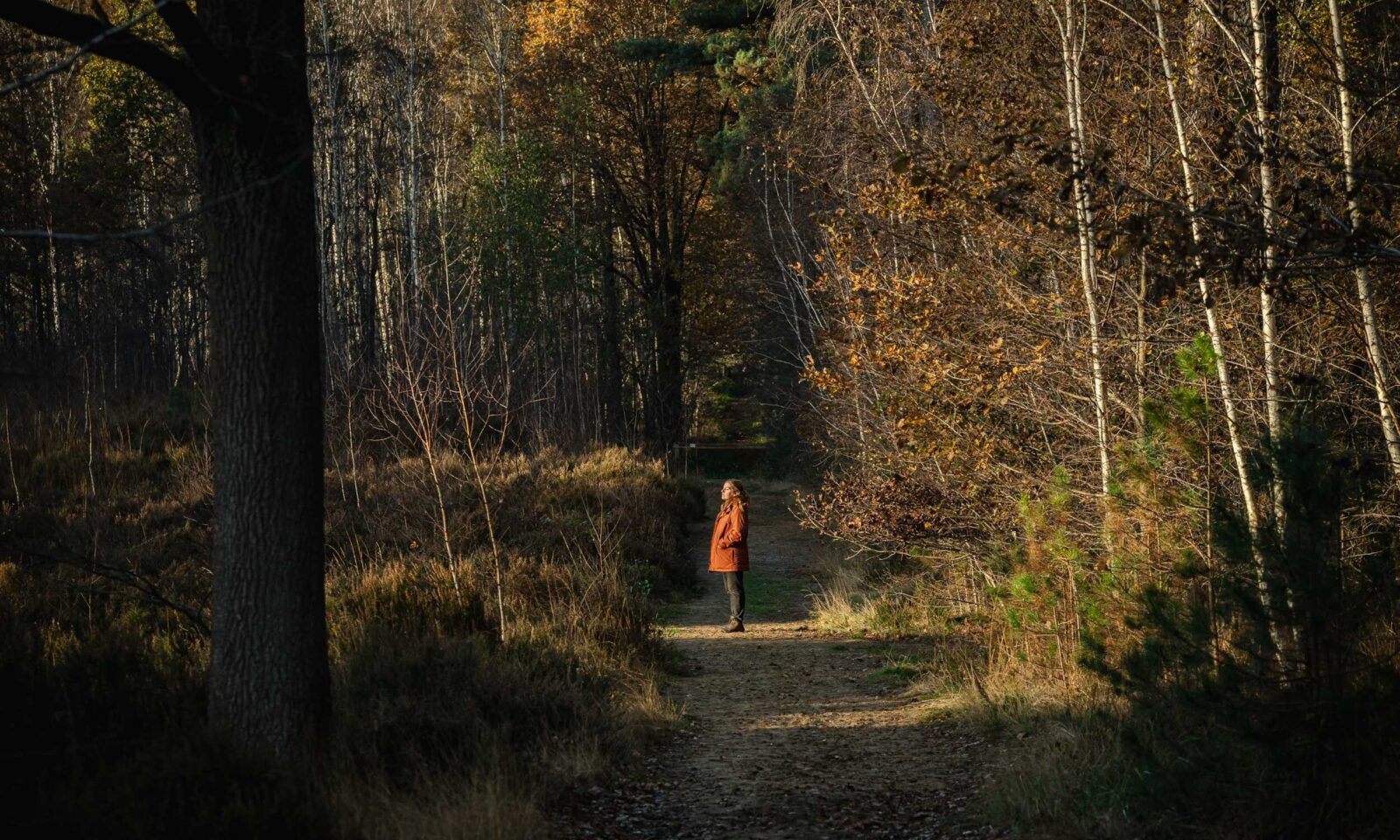 Dag van de Stilte - Vrouw in Bos