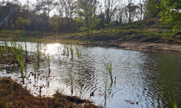 Averbode Bos en Heide
