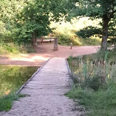 Weefberg Averbode Bos en Heide