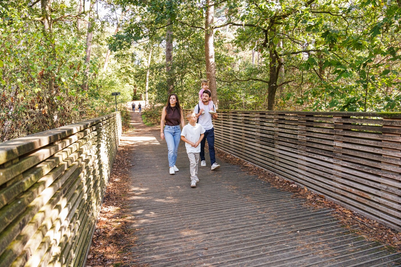 wandelbrug in Westerlo