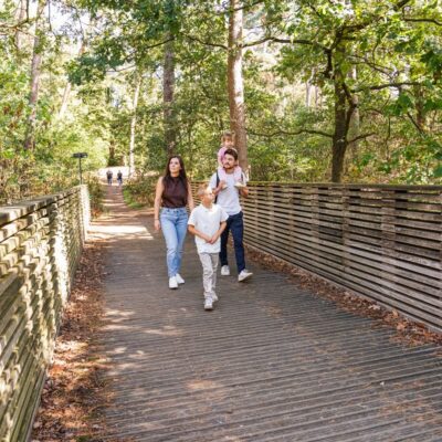 wandelbrug in Westerlo