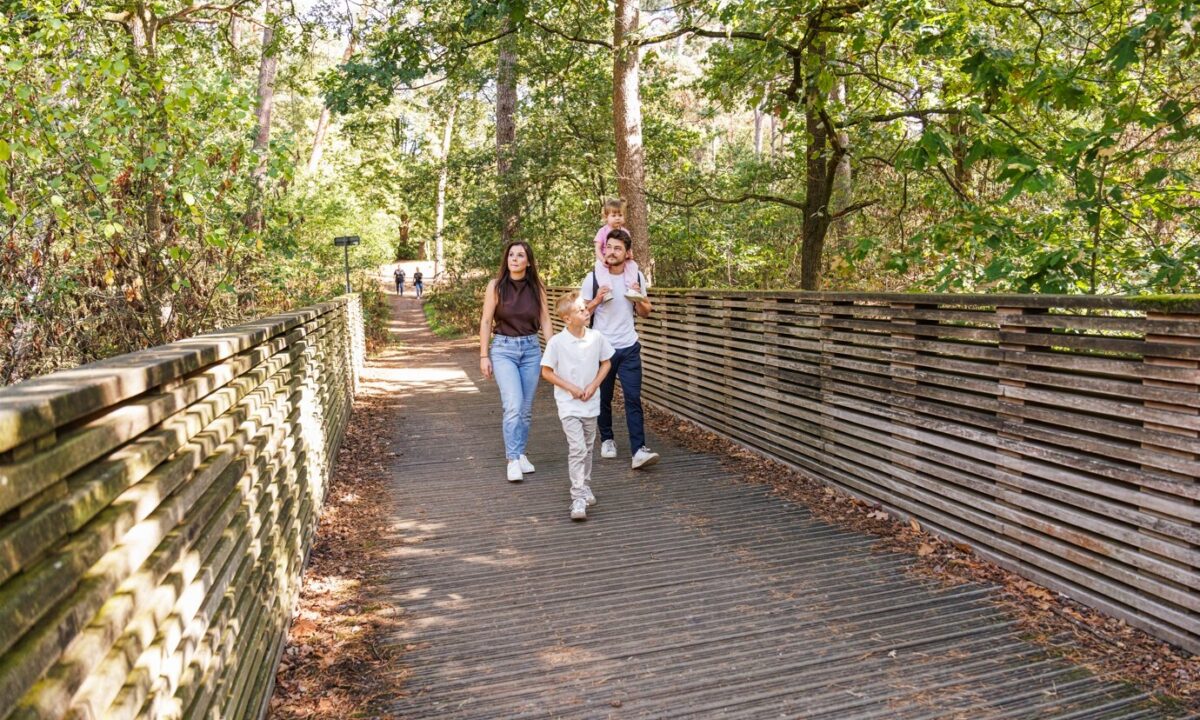 wandelbrug in Westerlo