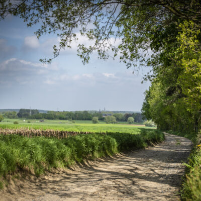 Timmermansstraat copyright Lander Loeckx