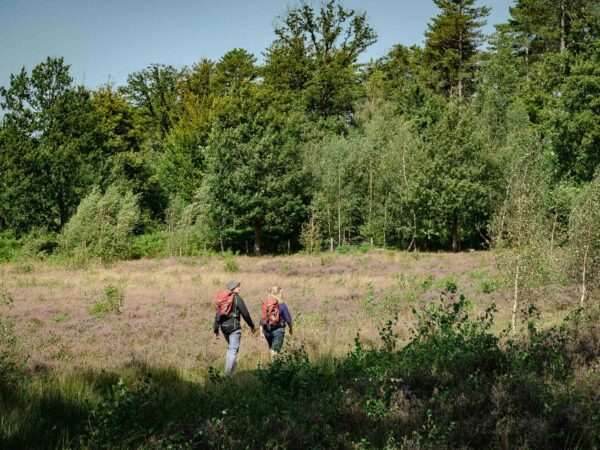 Wandelaars in Averbode Bos en Heide
